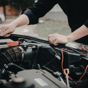 Untitled design (53)