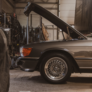 Untitled design (54)